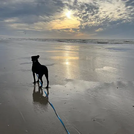 Coeur De L'eau Апартаменты *